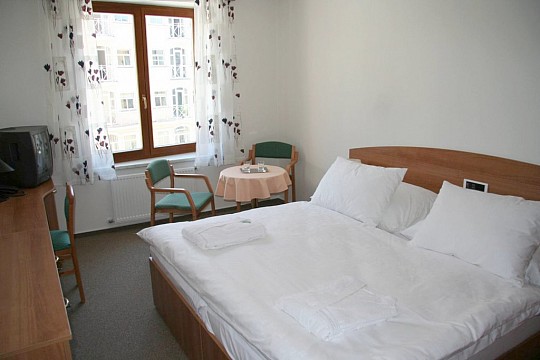 LÁZEŇSKÝ HOTEL PARK - Relaxace pro tělo a duši s Ayurvedou - Poděbrady (2)