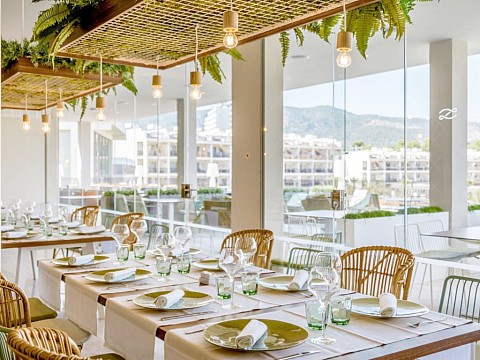 Zafiro Palace Palmanova & Spa (3)