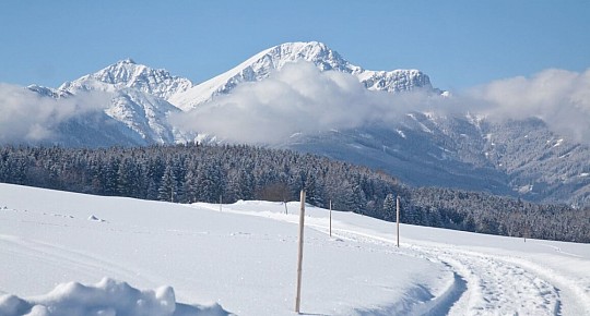 Sporthotel Igls (4)