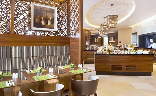 Hilton Garden Inn Dubai Al. Mina (3)
