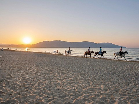 Vantaris Luxury Beach Resort (4)
