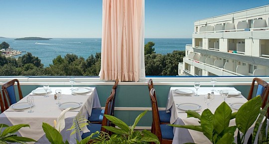 Hotel Delfin Plava Laguna (3)