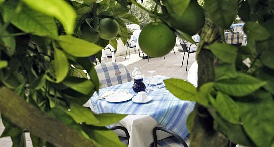 Hotel Villa Marija (5)