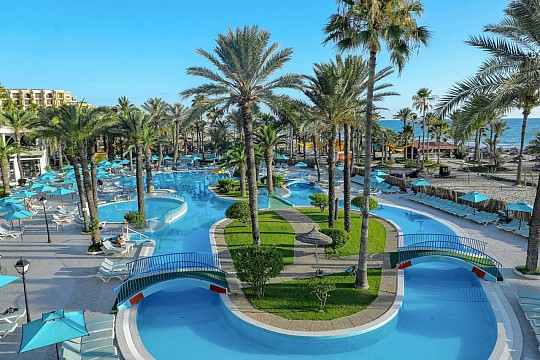 Riadh Palms (3)