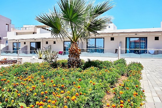 Kalia Beach (5)