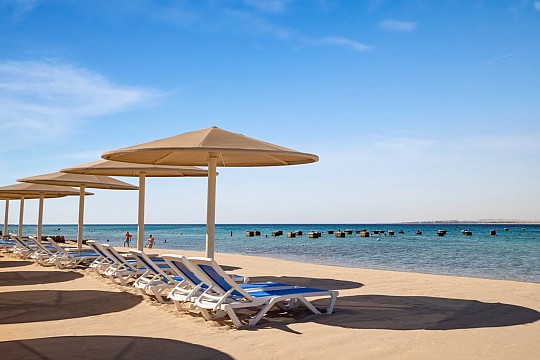 SRNTY Sahl Hasheesh (3)