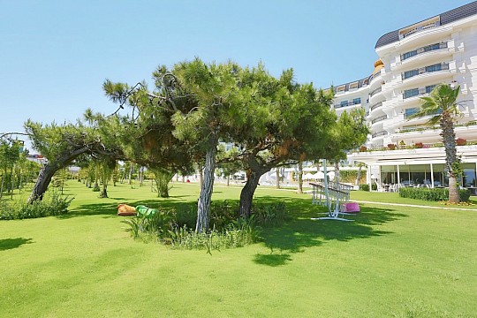 Asteria Bloom Side (4)