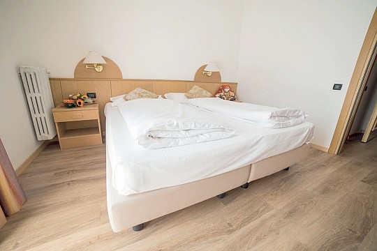 Hotel Caminetto Mountain Resort (5)