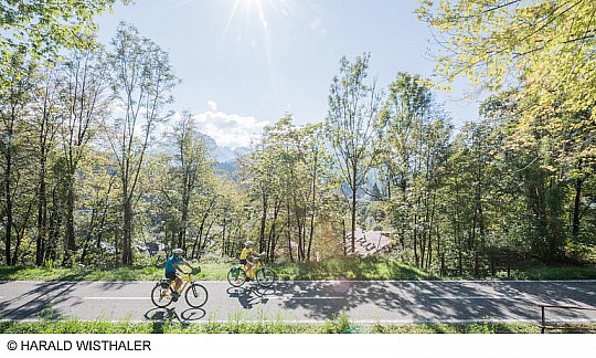 Bike Safari - Alpe Adria Salzburg - Grado (3)