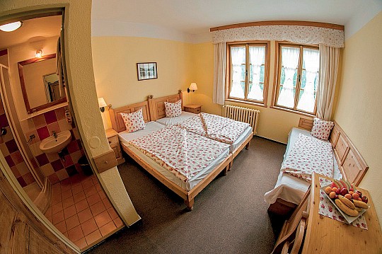 Alpský Hotel (2)
