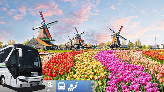 3-dňový zájazd do Holandska s návštevou kvetinovej výstavy