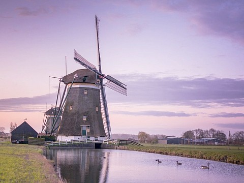 Amsterdam + větrné mlýny + Severní moře (2)