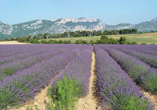 KRÁSY PROVENCE