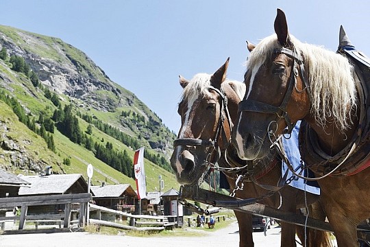 Východní Tyrolsko s kartou Osttirol's Glockner-Dolomiten a wellness (4)