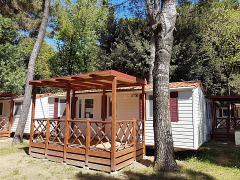 Mare e Pineta International Camping (4)