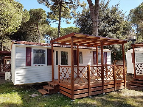 Mare e Pineta International Camping (5)