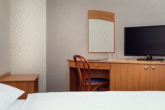 VÁNOČNÍ WELLNESS - Hotel RŮŽE, Karlovy Vary - VÁNOČNÍ WELLNESS (5)