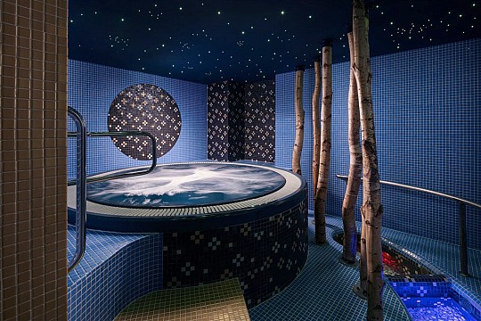 VILLA SMETANA - Karlovy Vary - MINI BEAUTY (5)