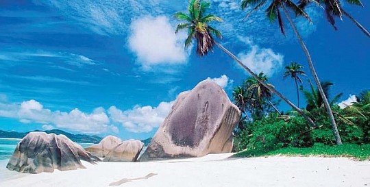 Paradise Sun (3)