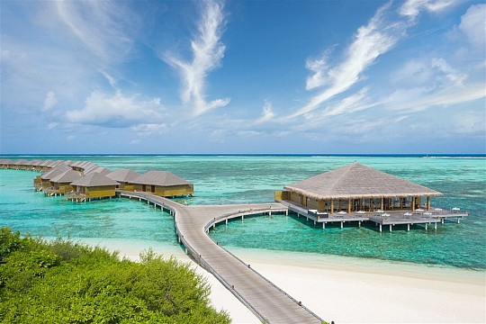 Cocoon Maldives (5)