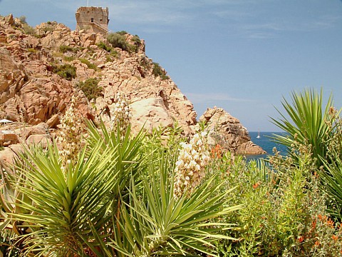 Korsika (3)