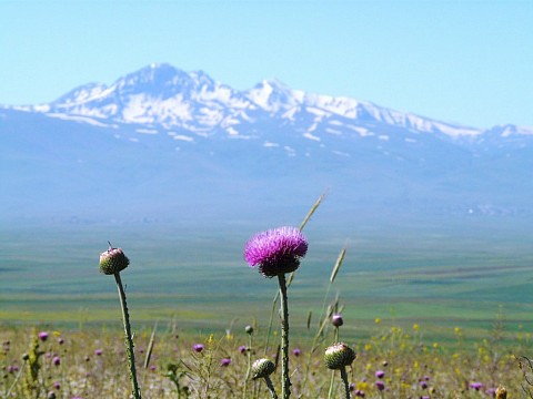 Arménie - rajská země Noemova (2)