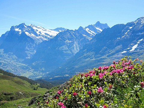 Švýcarsko - Bernské Alpy (4)