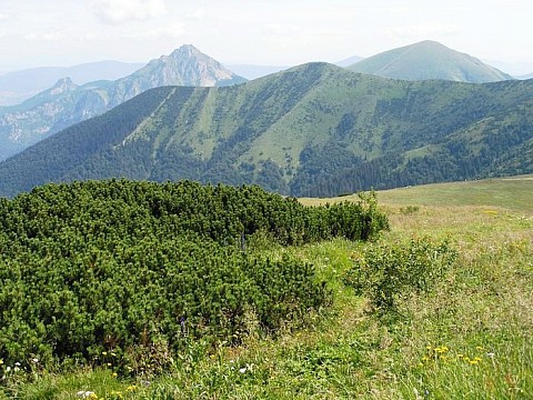 Národní parky Slovenska, památky a termální lázně (5)