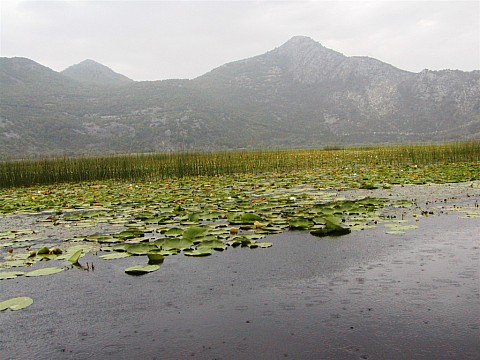 Černá Hora, národní parky a moře (5)