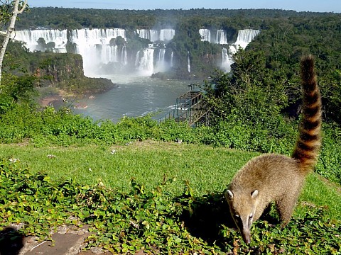 Rio de Janeiro, Iguazú a Buenos Aires (3)