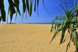 Hibiscus Beach Hotel