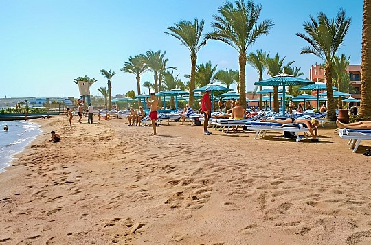 Le Pacha (2)