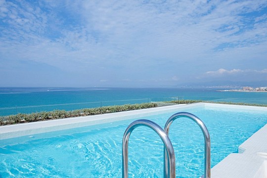 HM Tropical (5)