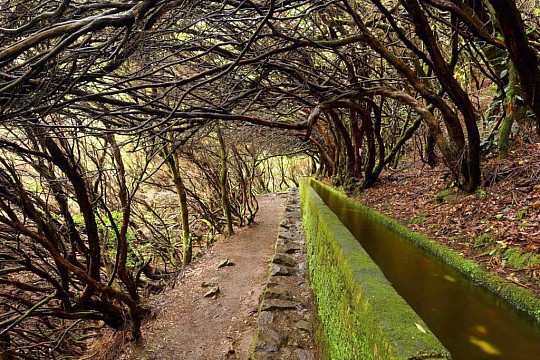 Madeira, místa známá i neznámá - trekking (2)