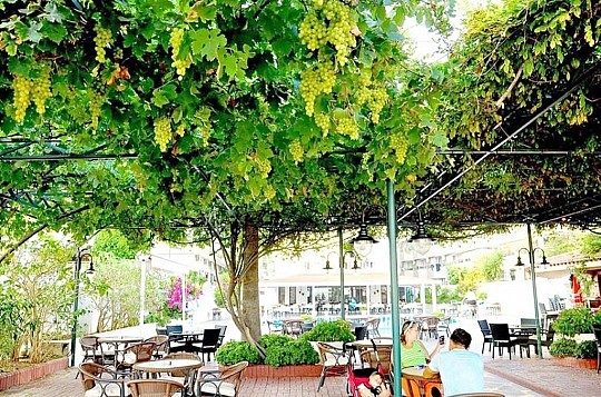 Azak Hotel (5)