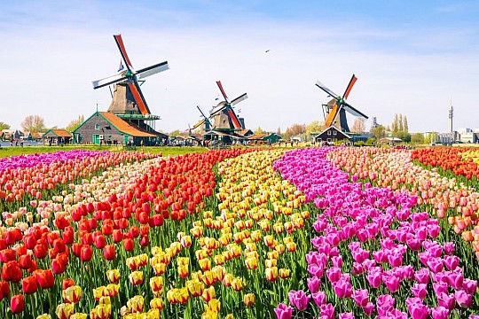 Květinový park Keukenhof s návštěvou Amsterdamu