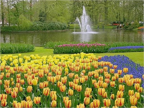 Holandsko - Květinové korzo