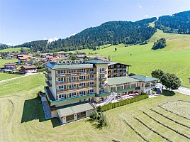 Harfenwirt Hotel